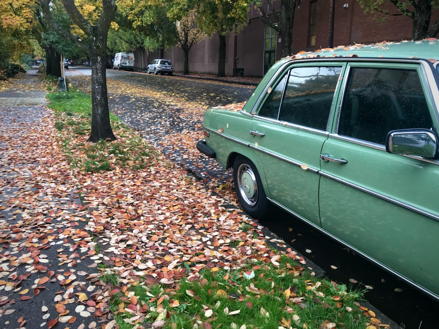 Car in autumn