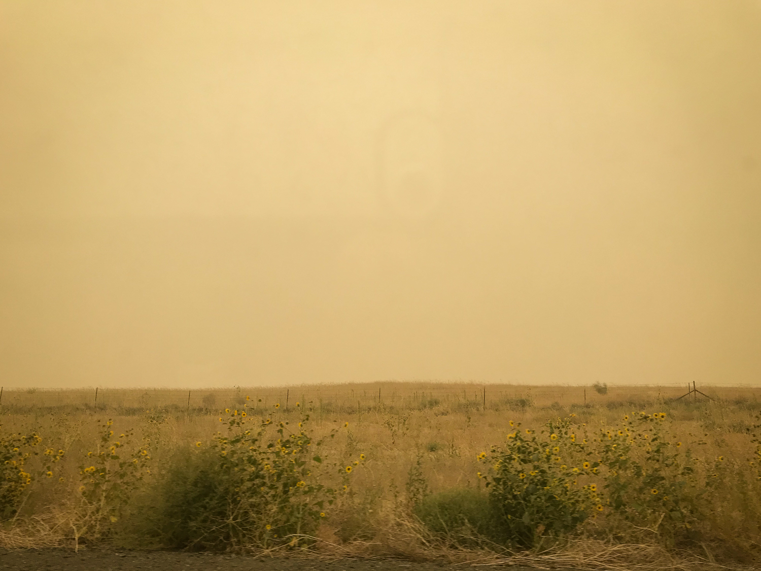 Fire Season
