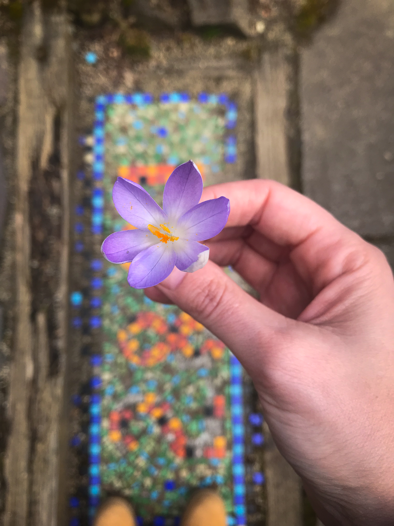 Found Flower