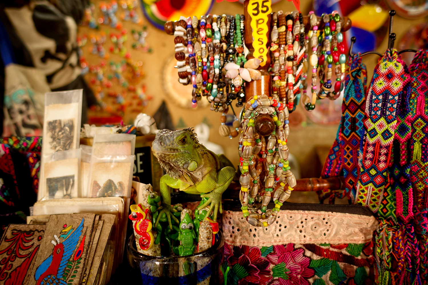 Gift Shop Lizard
