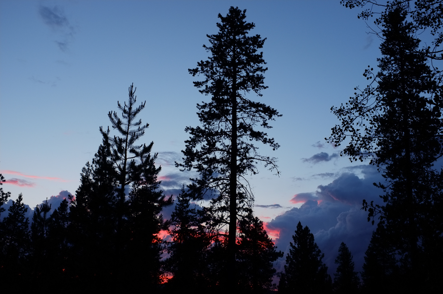 Dusk